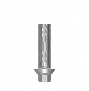 Direct temporary anti rotation cylinder, int. hex., SP