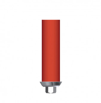 Direct anti-rotation CoCr plastic cylinder, WP