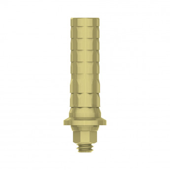 Temporary cylinder for CONNECT abutment Anti-rotation